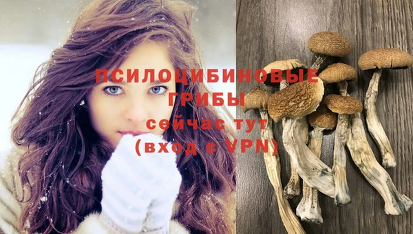 эйфоретик Куйбышев