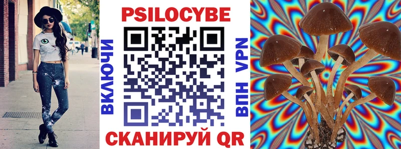 где продают наркотики  Пустошка  Галлюциногенные грибы Psilocybine cubensis 